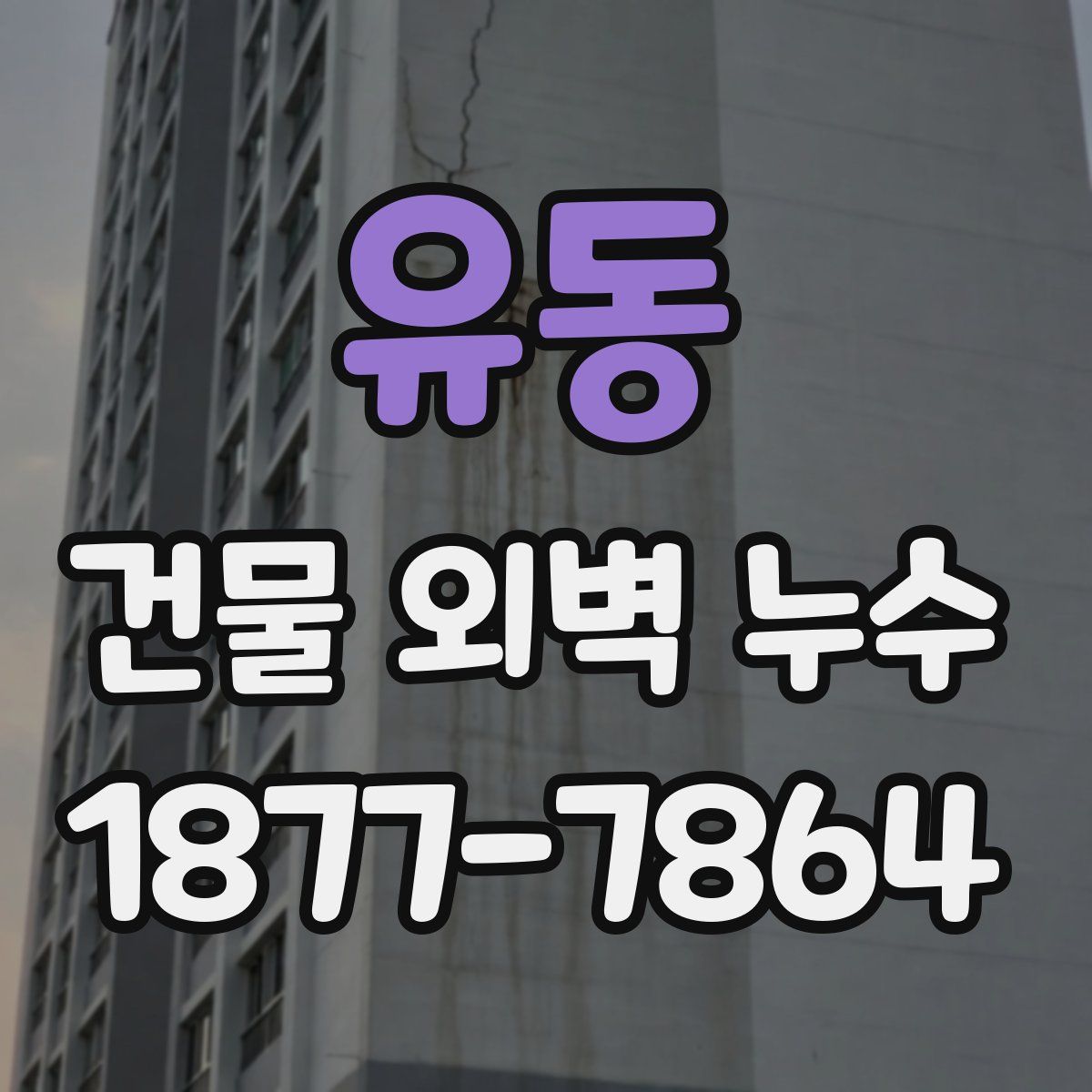 유동 건물 외벽 누수