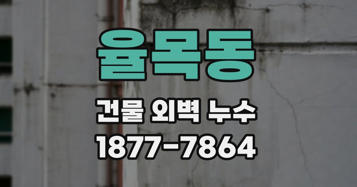 율목동 건물 외벽 누수