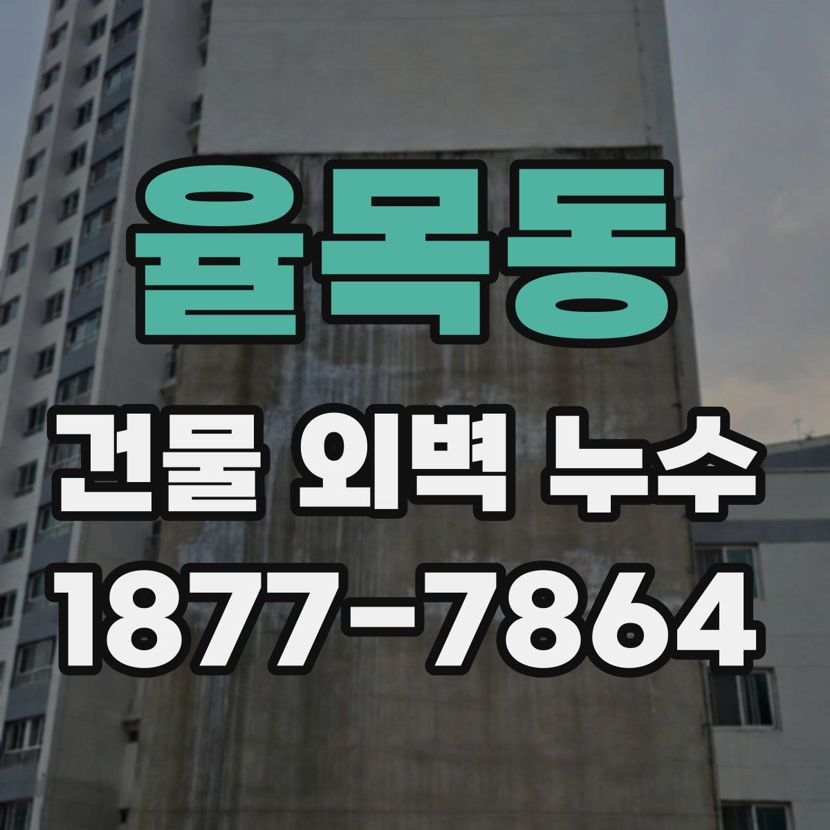 율목동 건물 외벽 누수