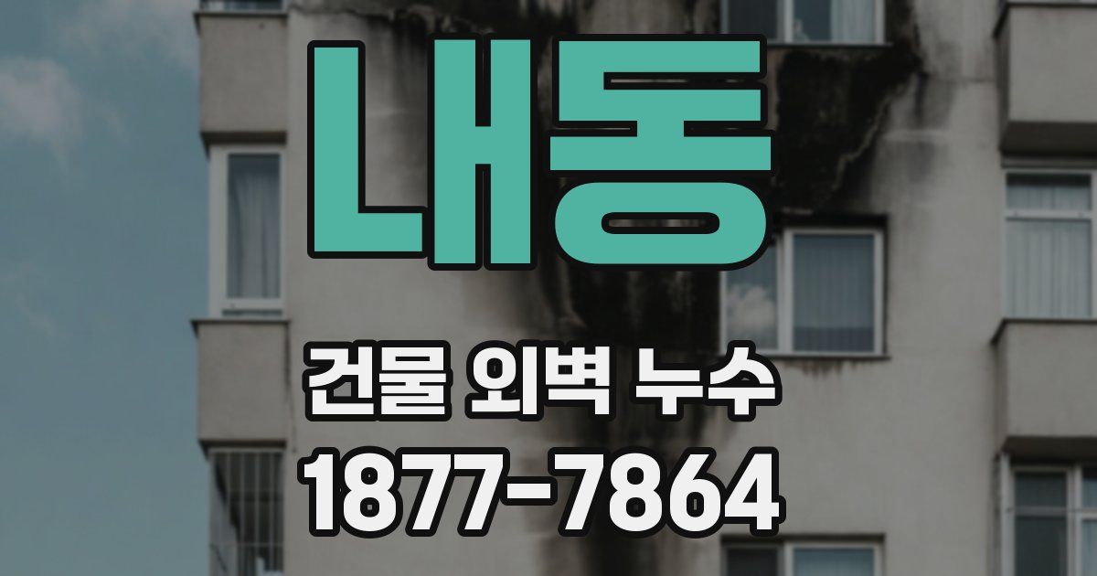 내동 건물 외벽 누수