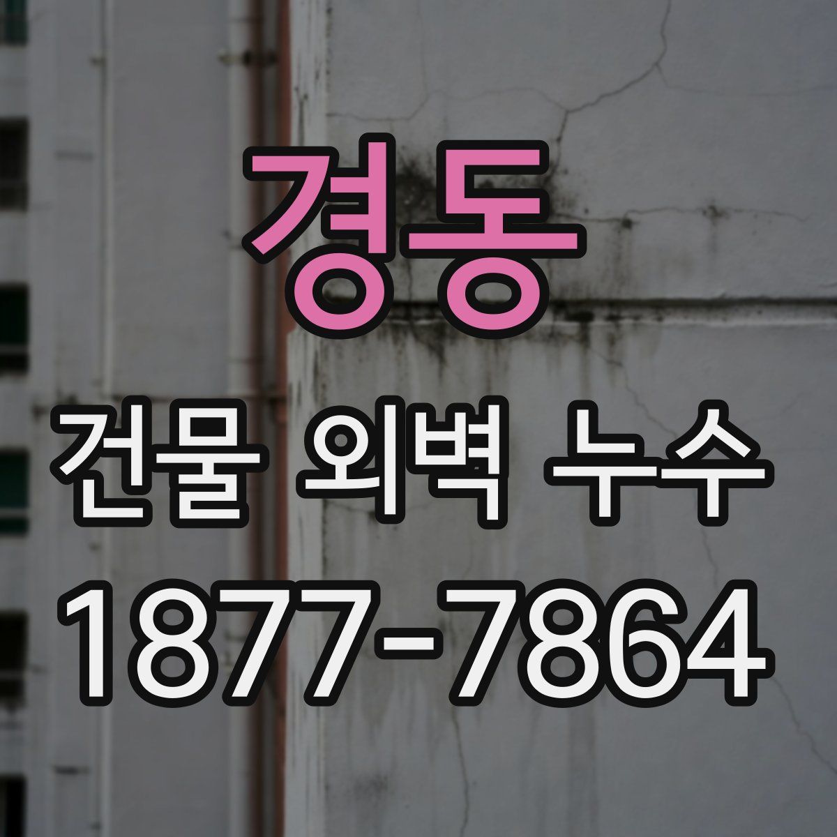 경동 건물 외벽 누수