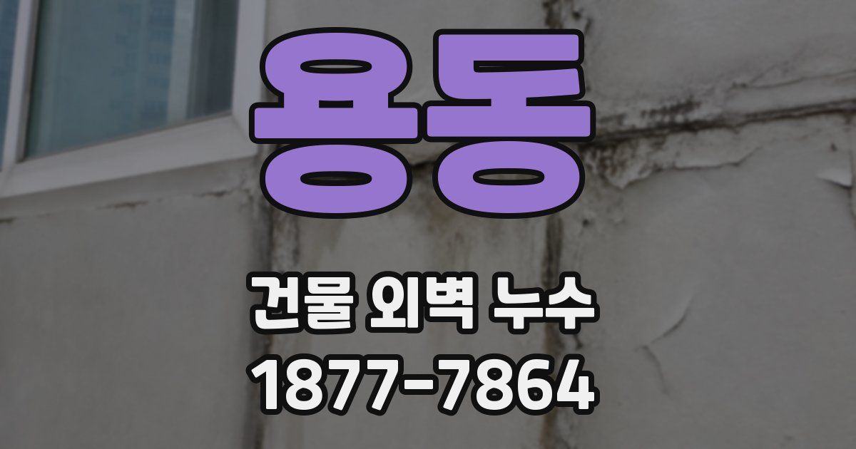 용동 건물 외벽 누수