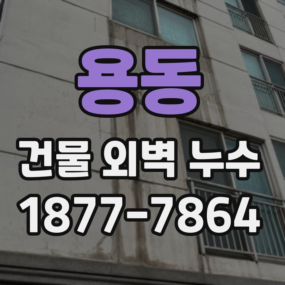 용동 건물 외벽 누수