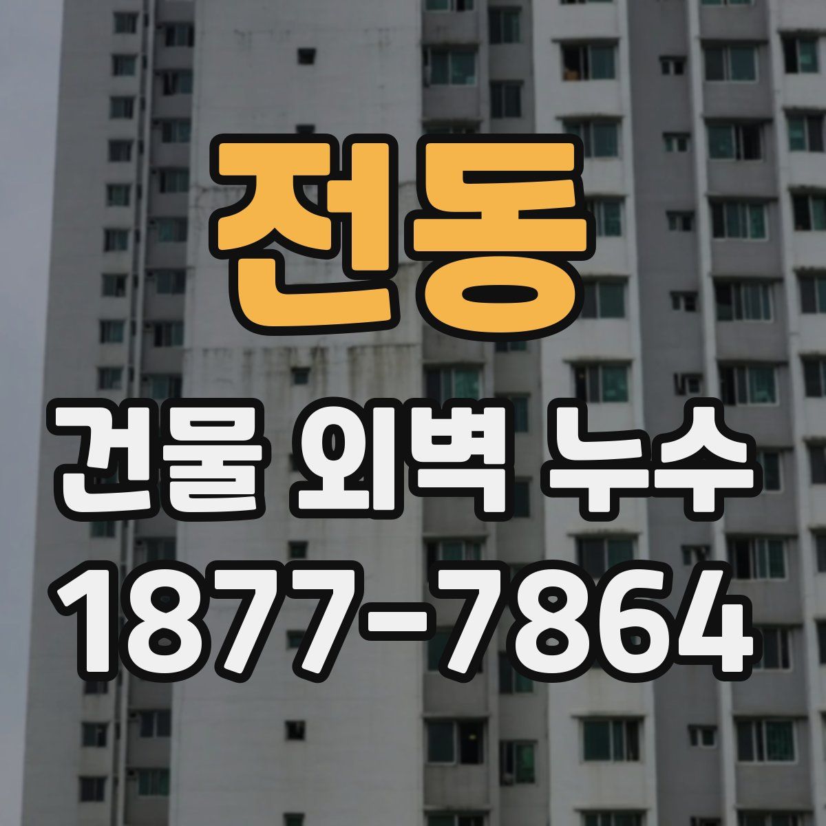 전동 건물 외벽 누수