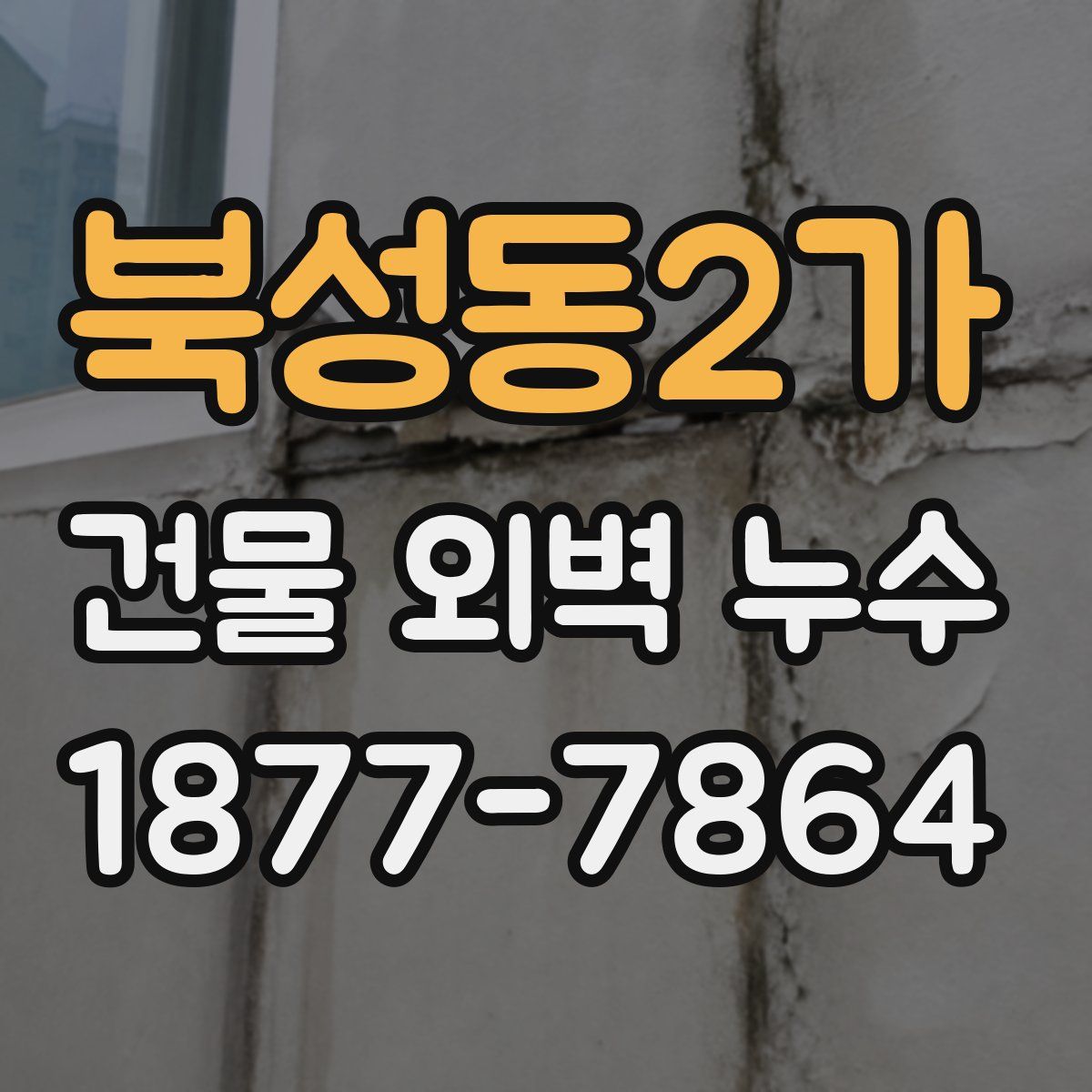 북성동2가 건물 외벽 누수