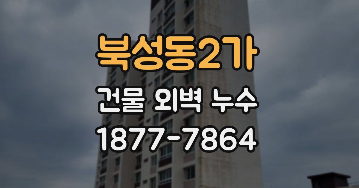 북성동2가 건물 외벽 누수
