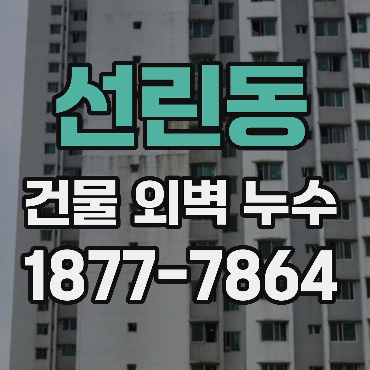 선린동 건물 외벽 누수