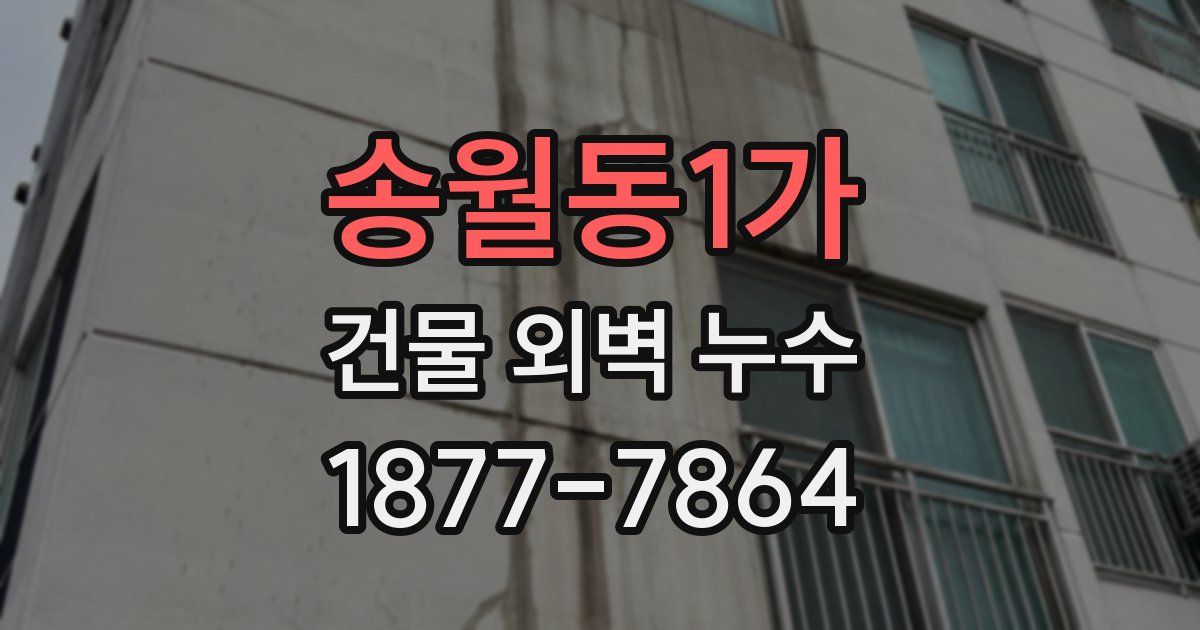 송월동1가 건물 외벽 누수