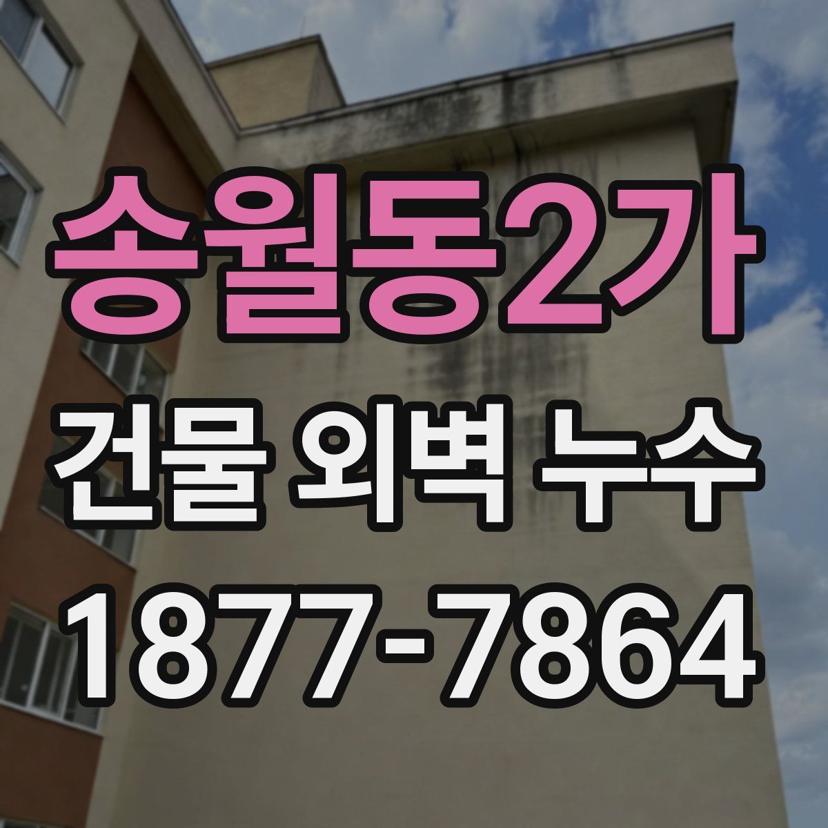 송월동2가 건물 외벽 누수