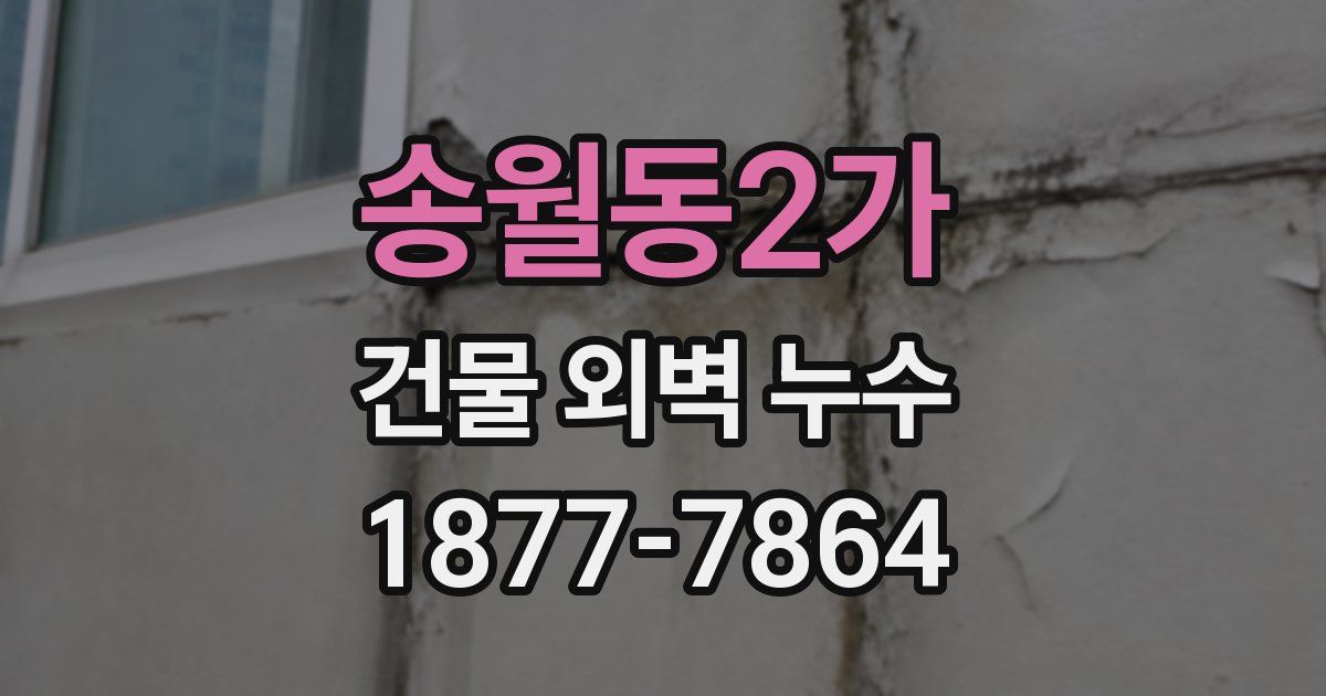 송월동2가 건물 외벽 누수