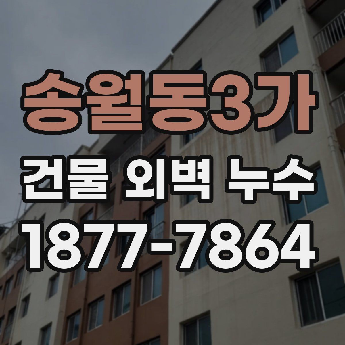 송월동3가 건물 외벽 누수 점검 시 자주 놓치는 부분