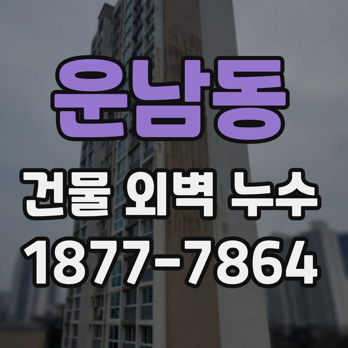 운남동 건물 외벽 누수 점검 시기와 관리 요령
