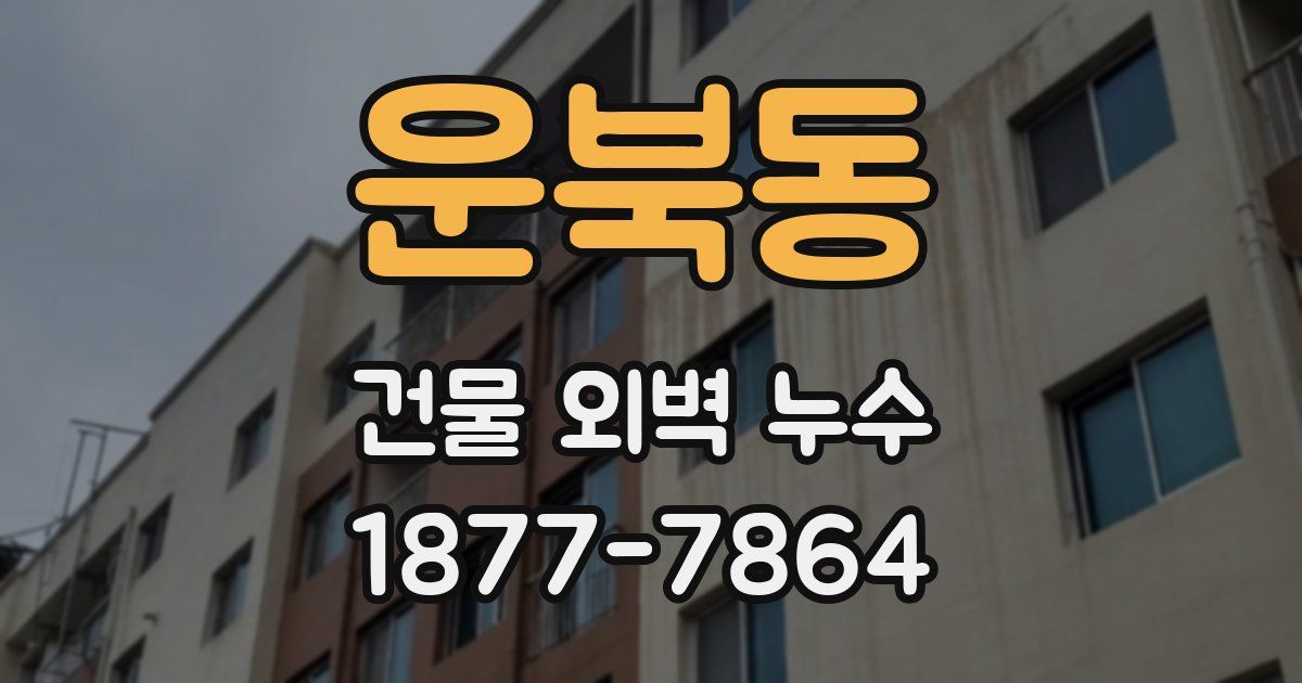 운북동 건물 외벽 누수