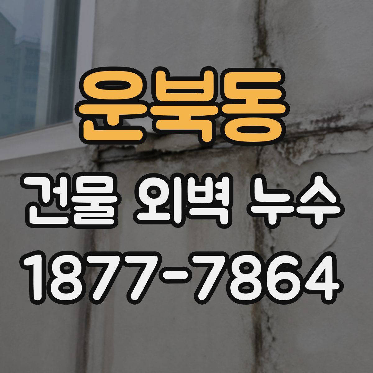 운북동 건물 외벽 누수