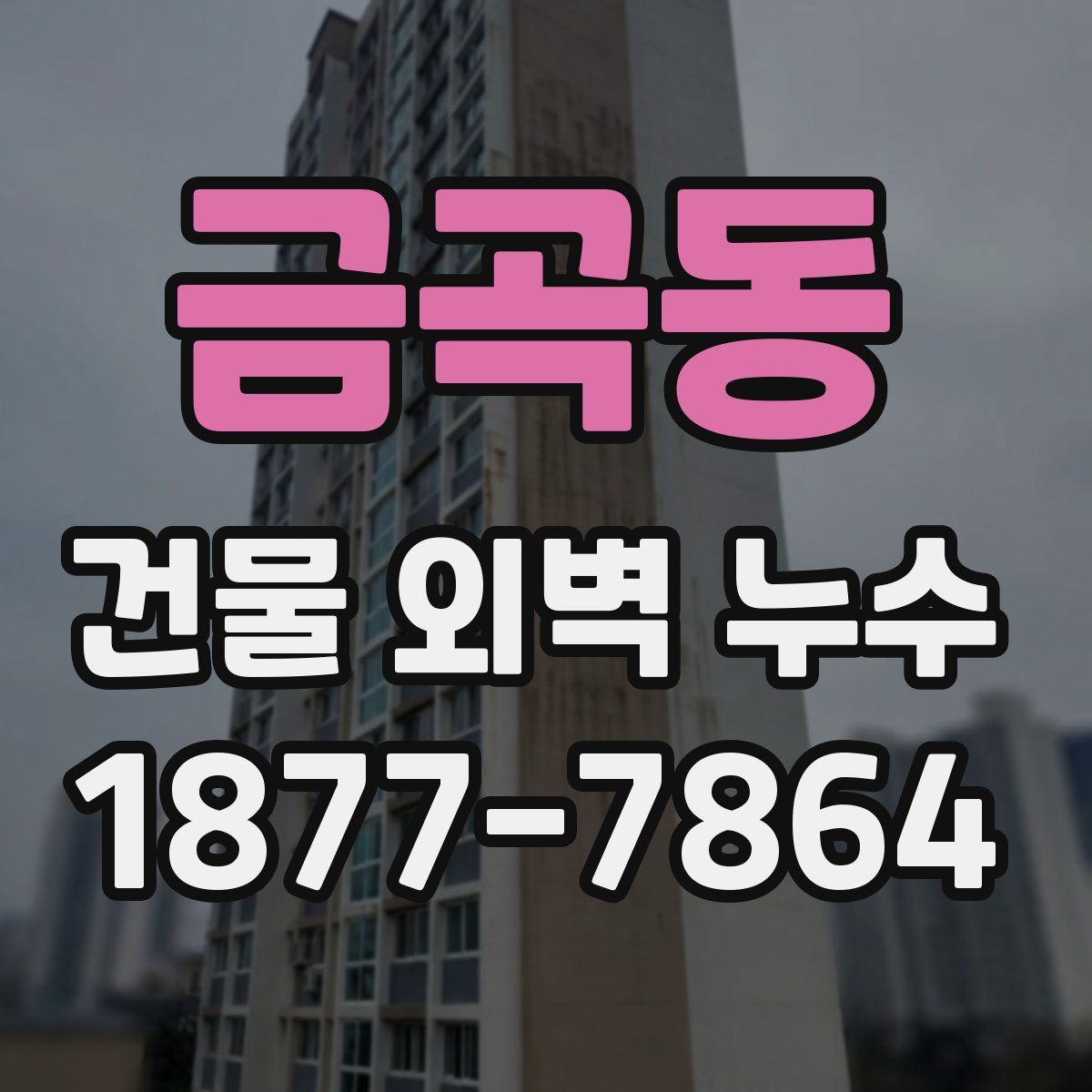 금곡동 건물 외벽 누수