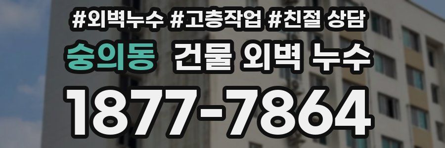숭의동 건물 외벽 누수