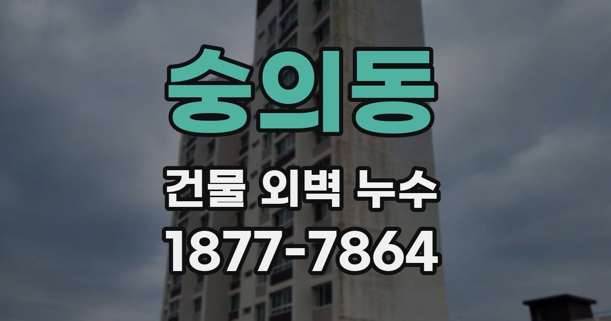 숭의동 건물 외벽 누수