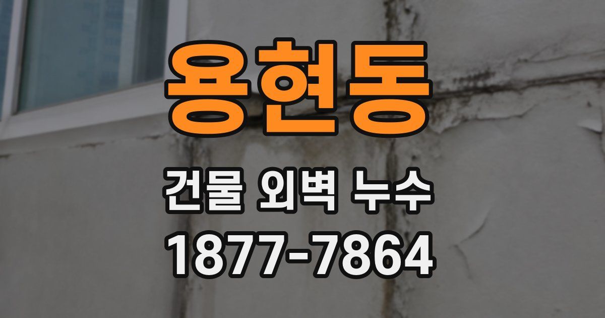 용현동 건물 외벽 누수