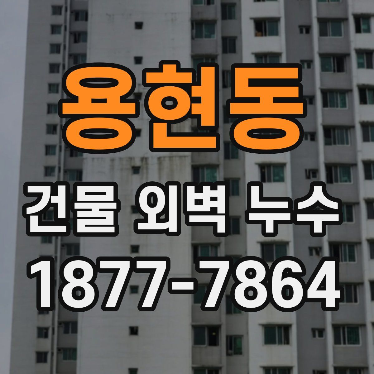 용현동 건물 외벽 누수
