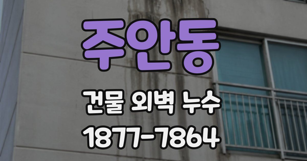 주안동 건물 외벽 누수