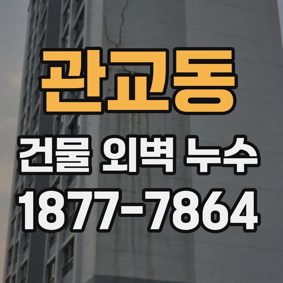 관교동 건물 외벽 누수