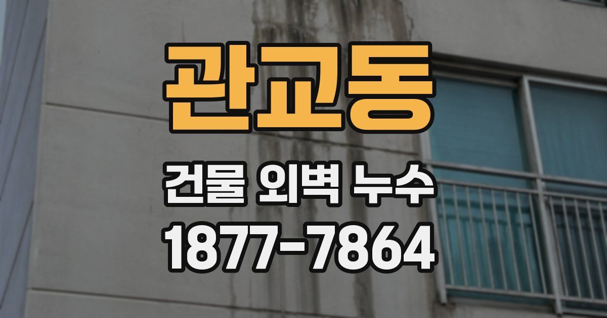 관교동 건물 외벽 누수