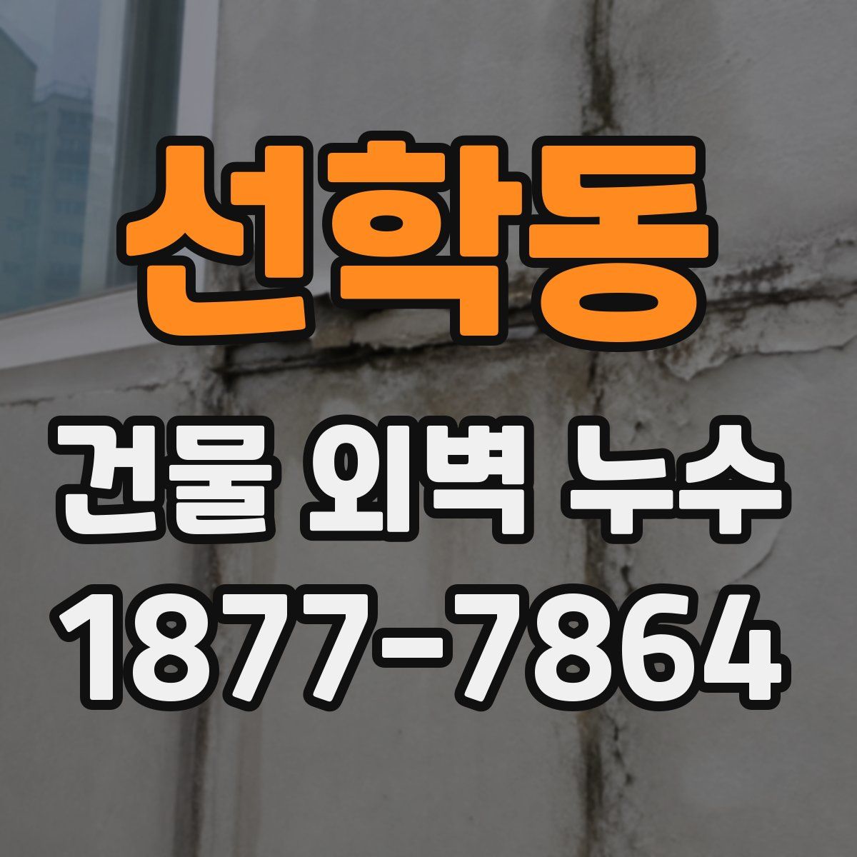 선학동 건물 외벽 누수