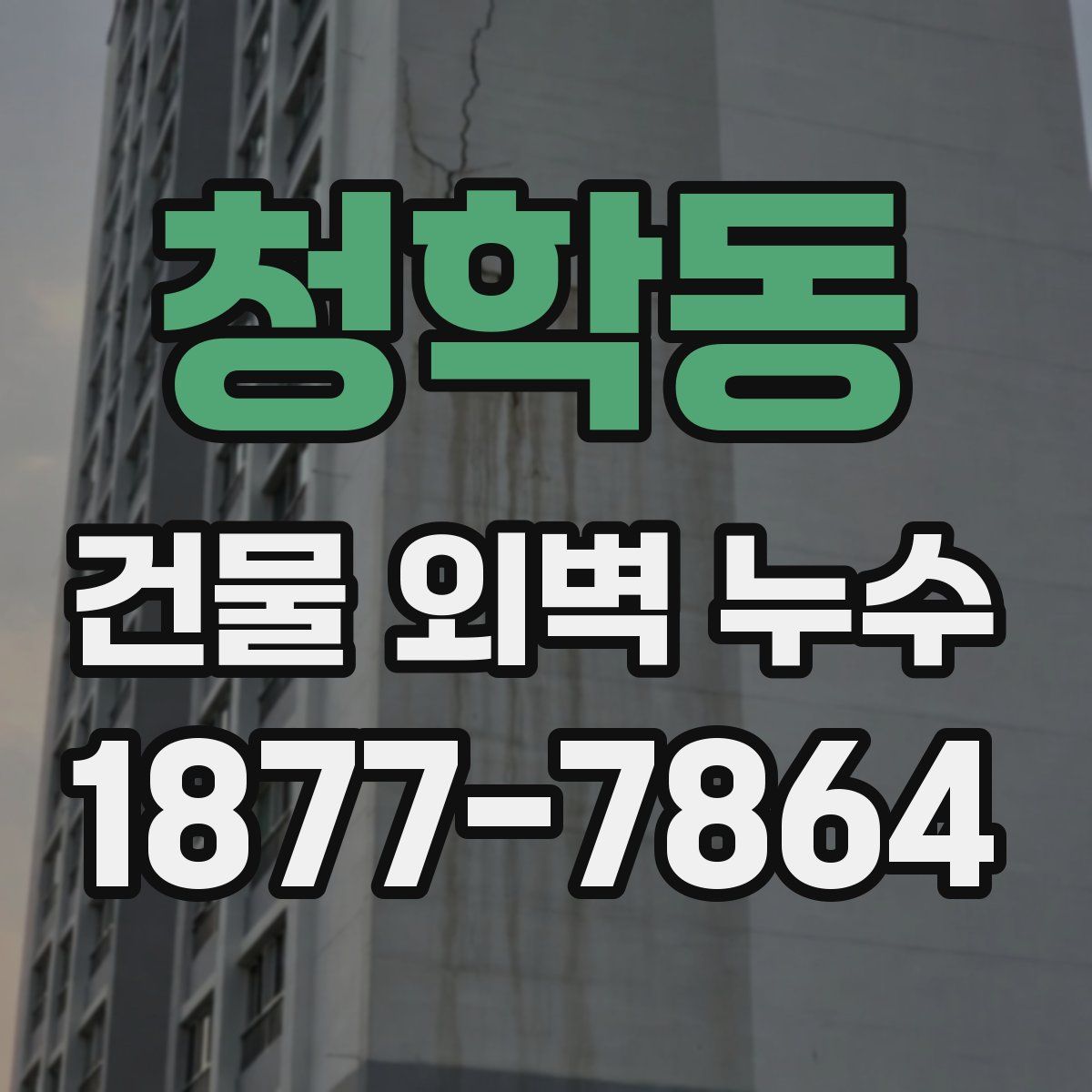 청학동 건물 외벽 누수