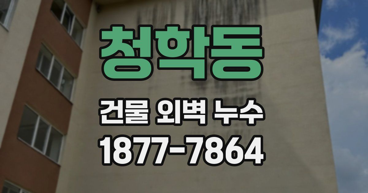 청학동 건물 외벽 누수