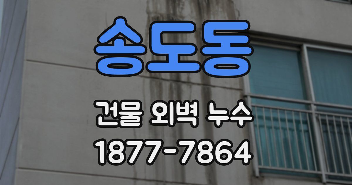 송도동 건물 외벽 누수