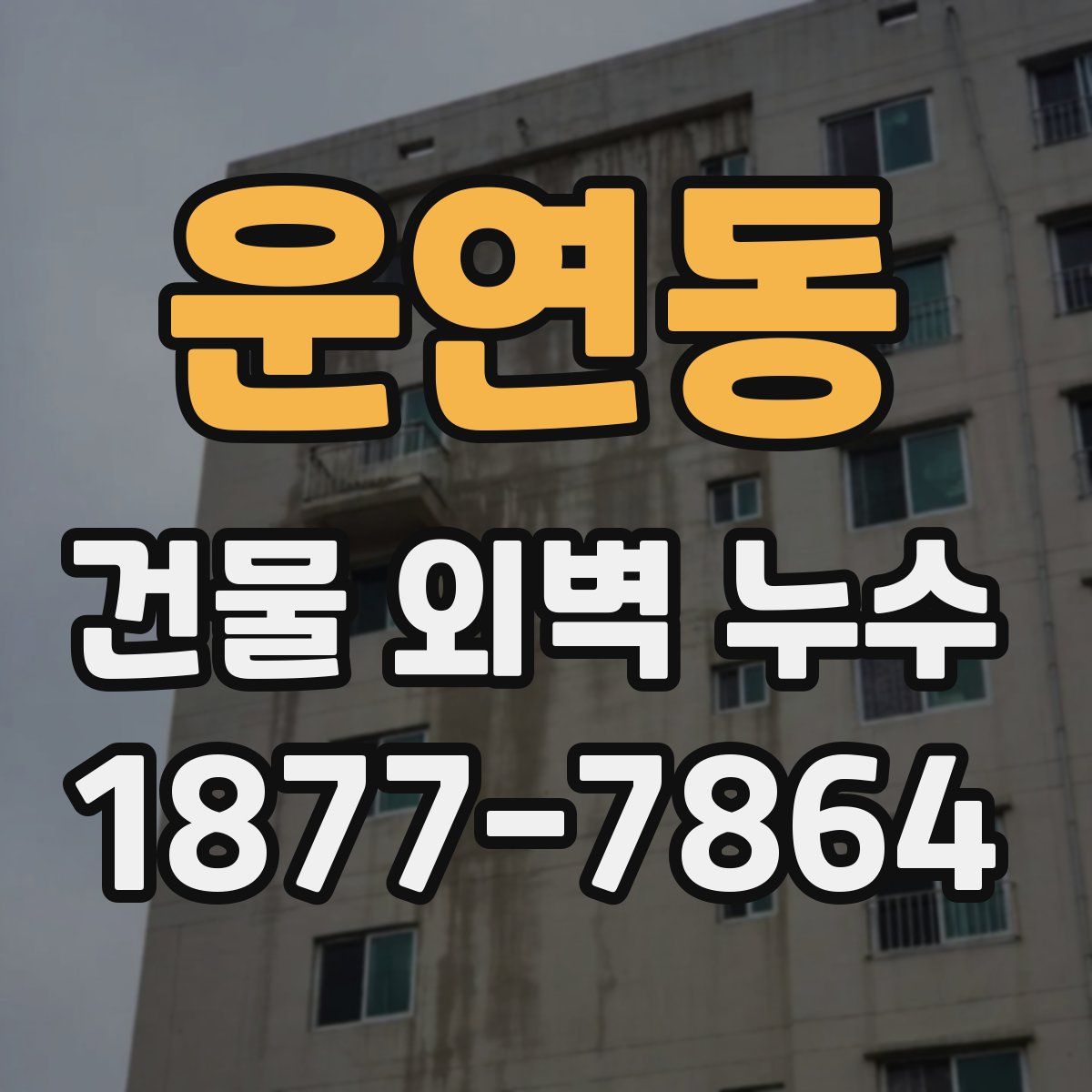 운연동 건물 외벽 누수
