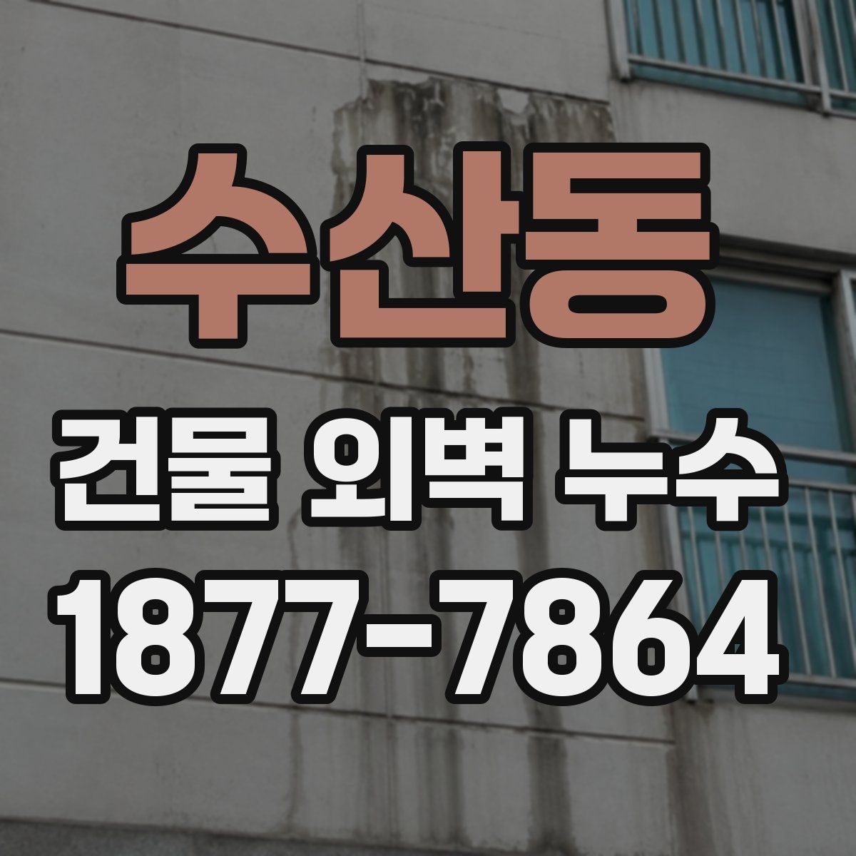 수산동 건물 외벽 누수