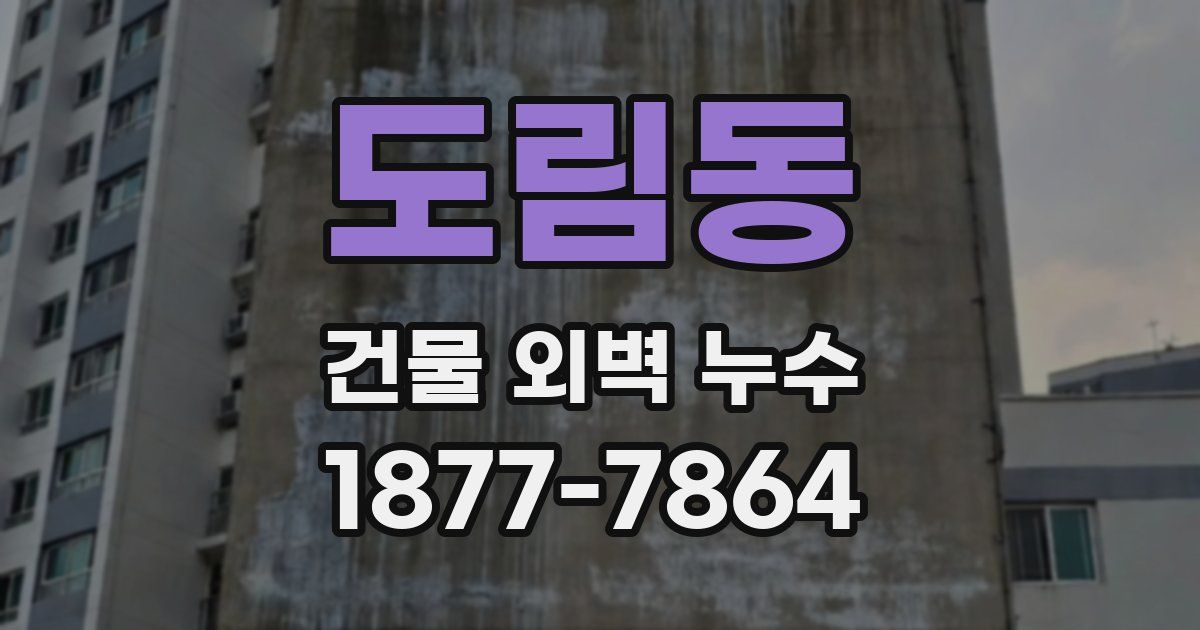 도림동 건물 외벽 누수