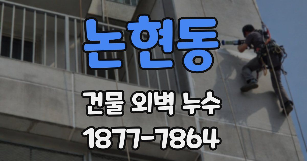 논현동 건물 외벽 누수