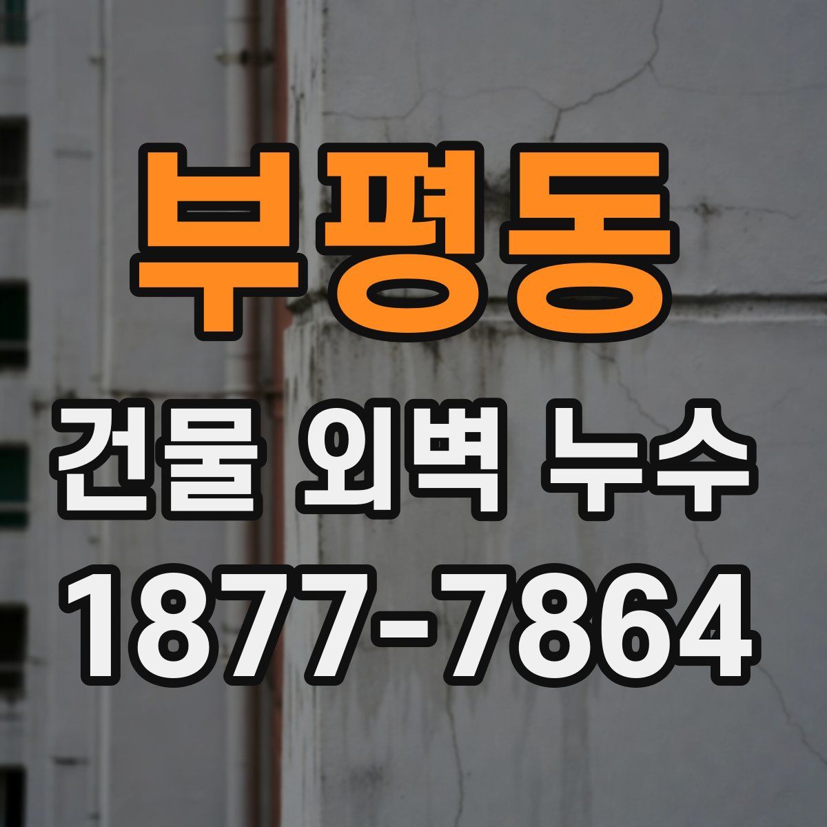부평동 건물 외벽 누수