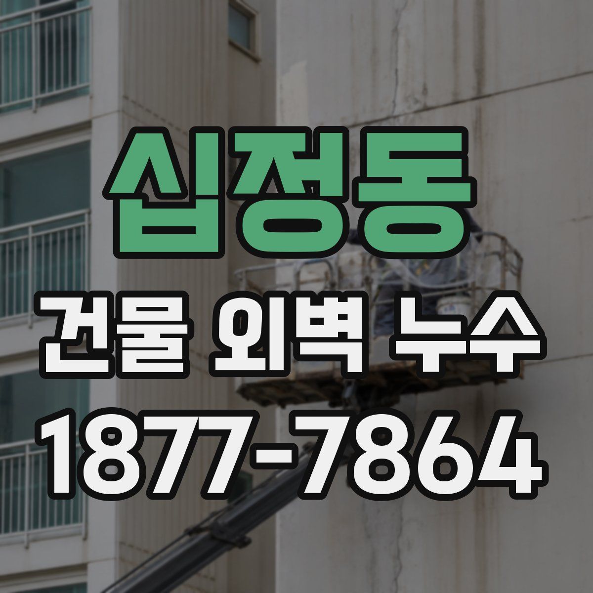 십정동 건물 외벽 누수