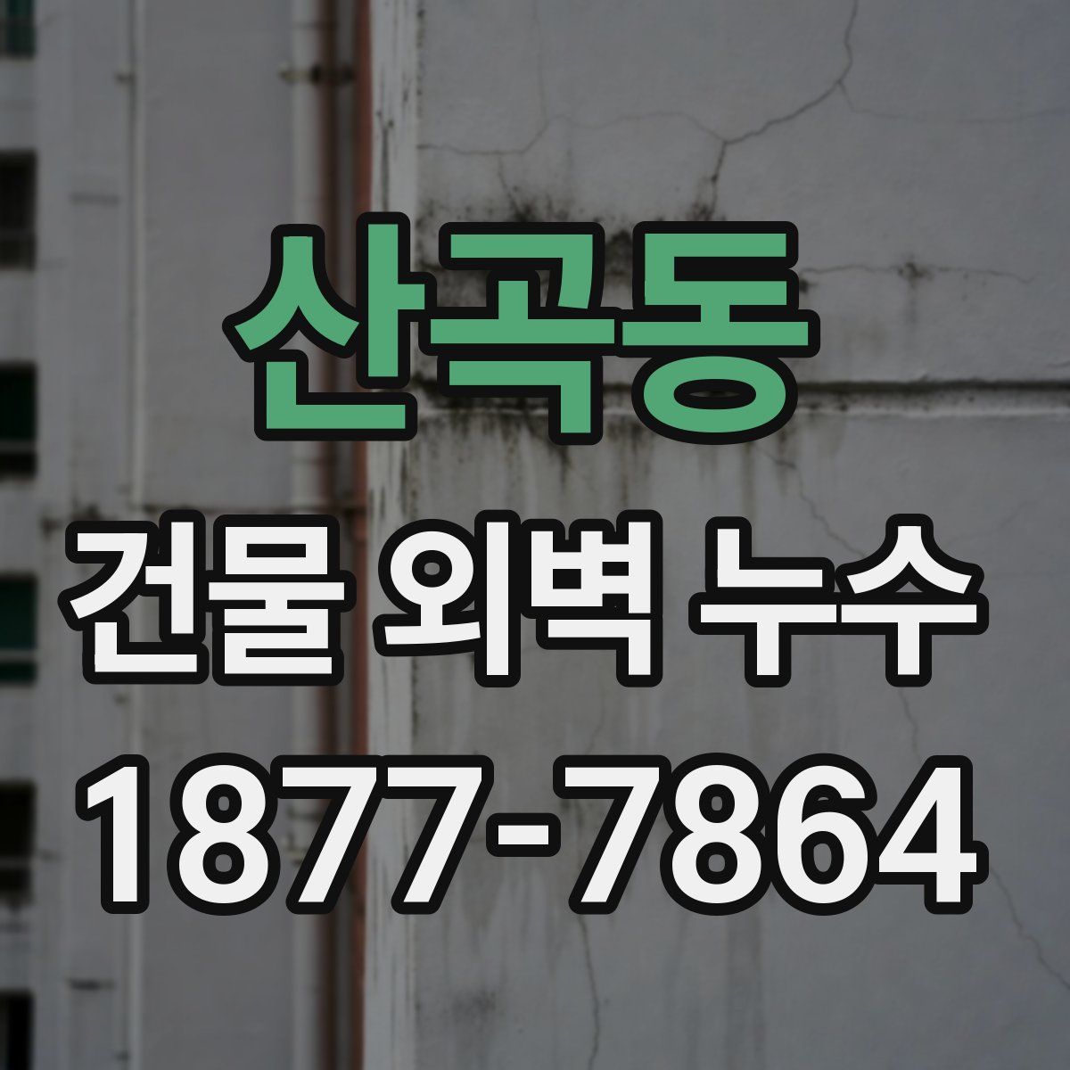 산곡동 건물 외벽 누수