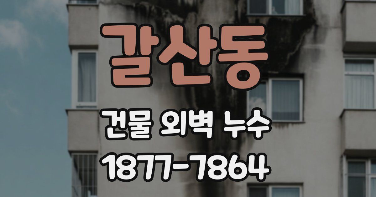 갈산동 건물 외벽 누수