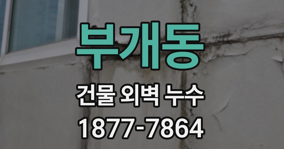 부개동 건물 외벽 누수
