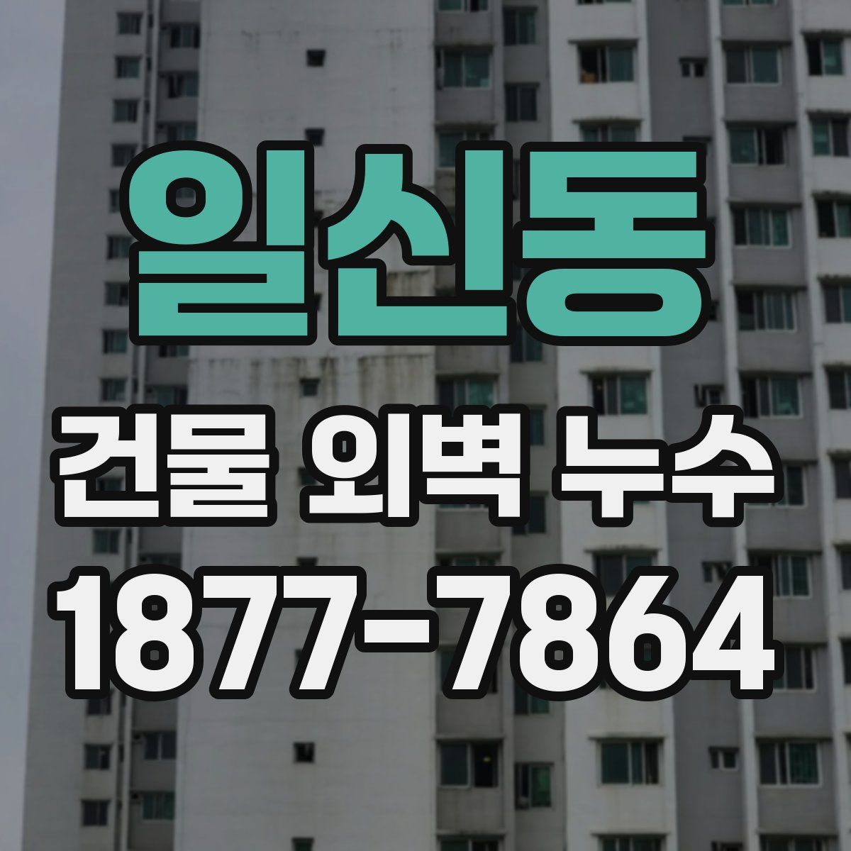 일신동 건물 외벽 누수