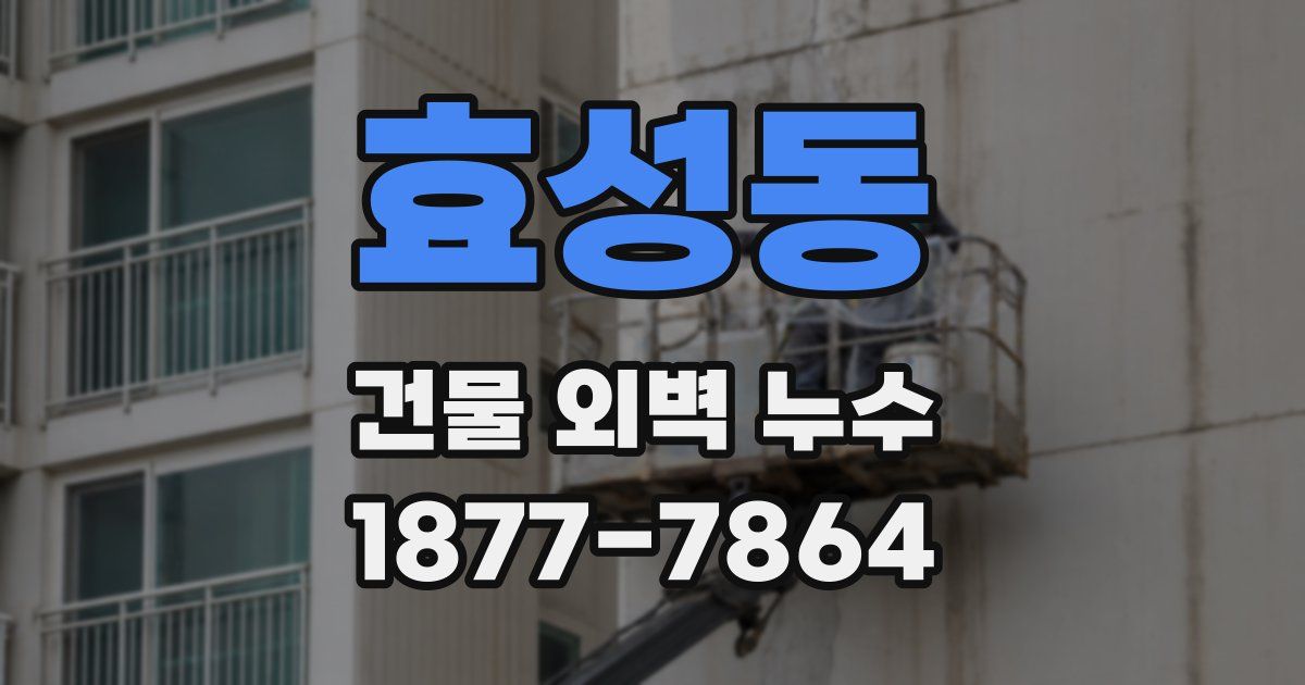 효성동 건물 외벽 누수