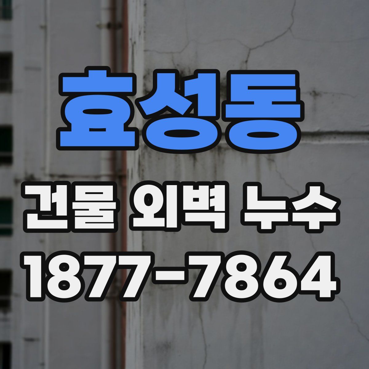 효성동 건물 외벽 누수