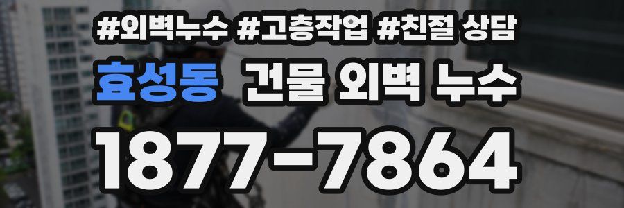 효성동 건물 외벽 누수