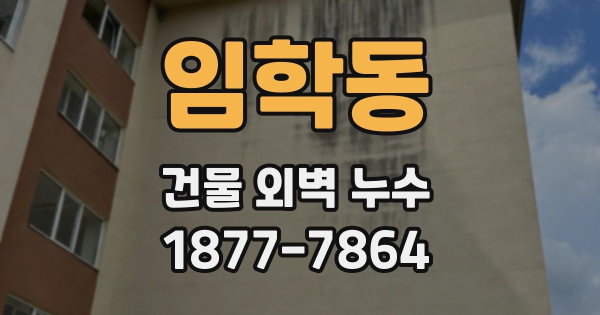 임학동 건물 외벽 누수