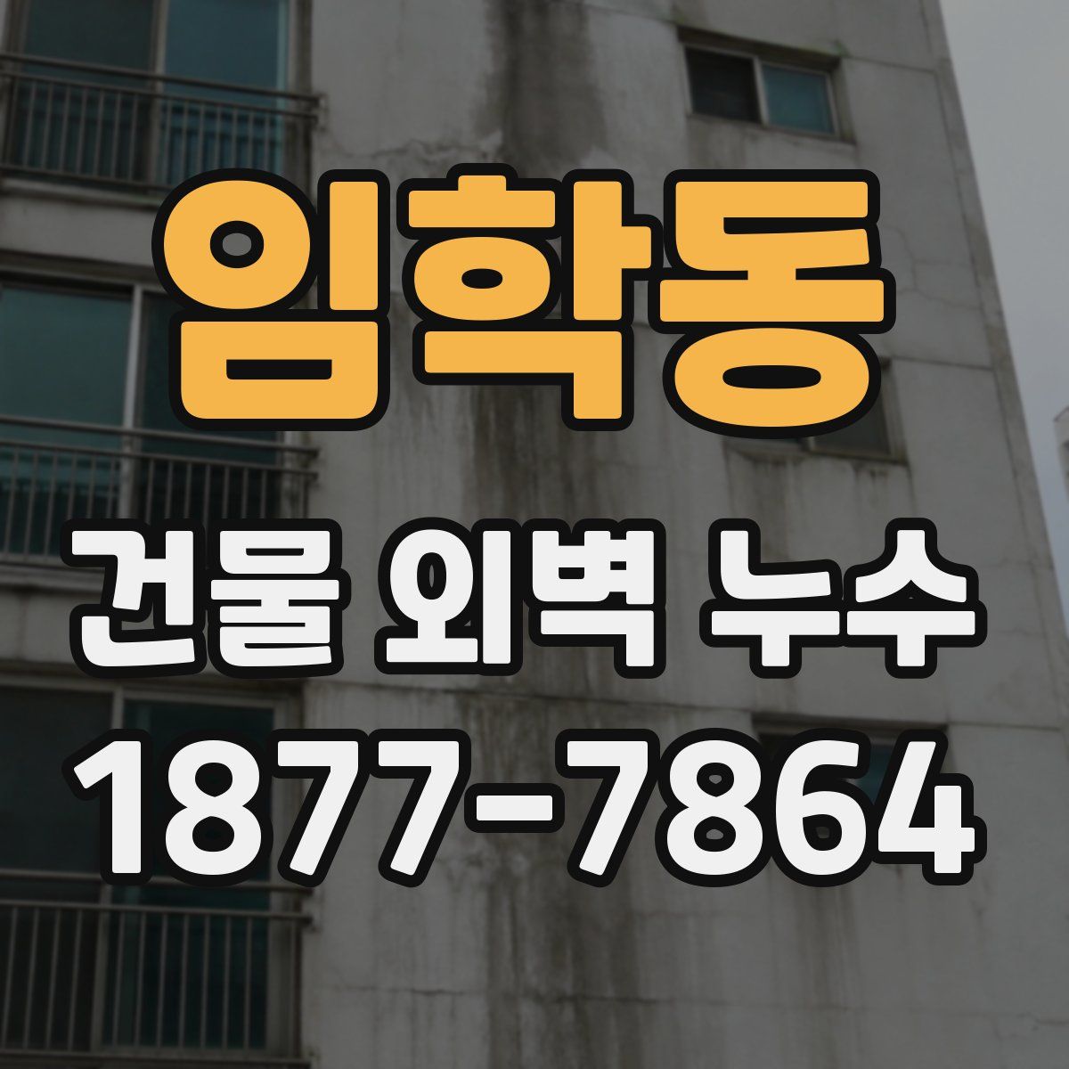 임학동 건물 외벽 누수