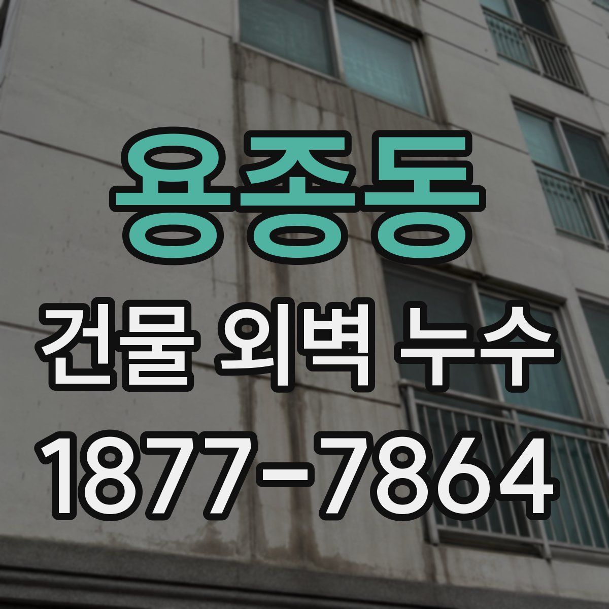 용종동 건물 외벽 누수