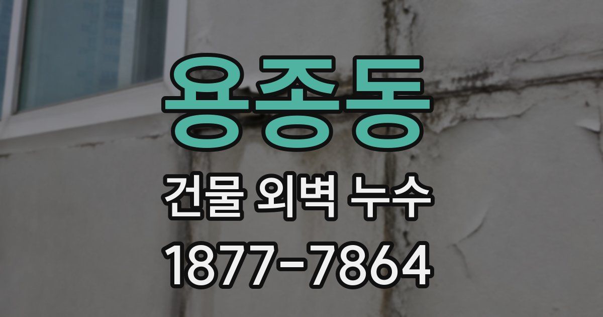 용종동 건물 외벽 누수