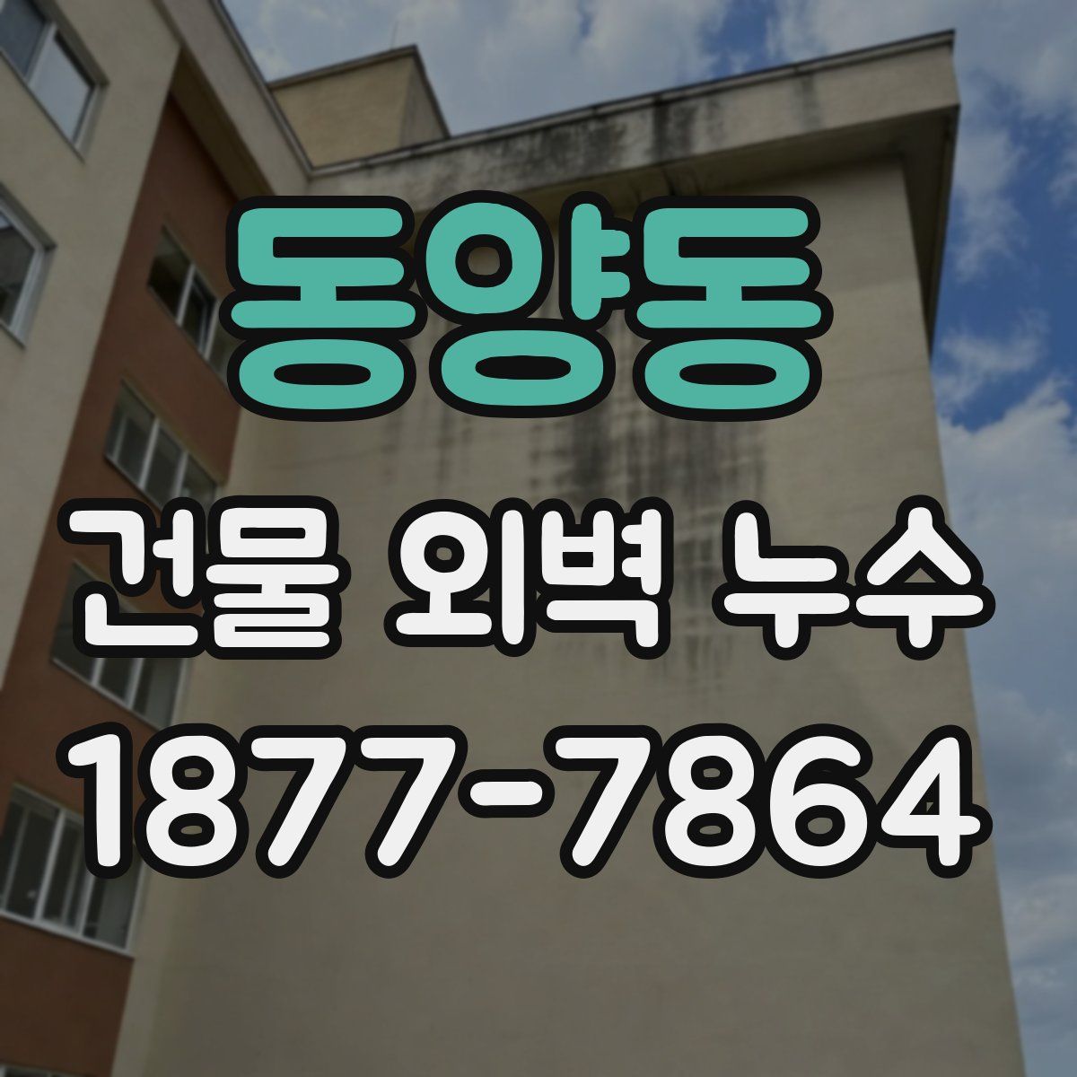 동양동 건물 외벽 누수