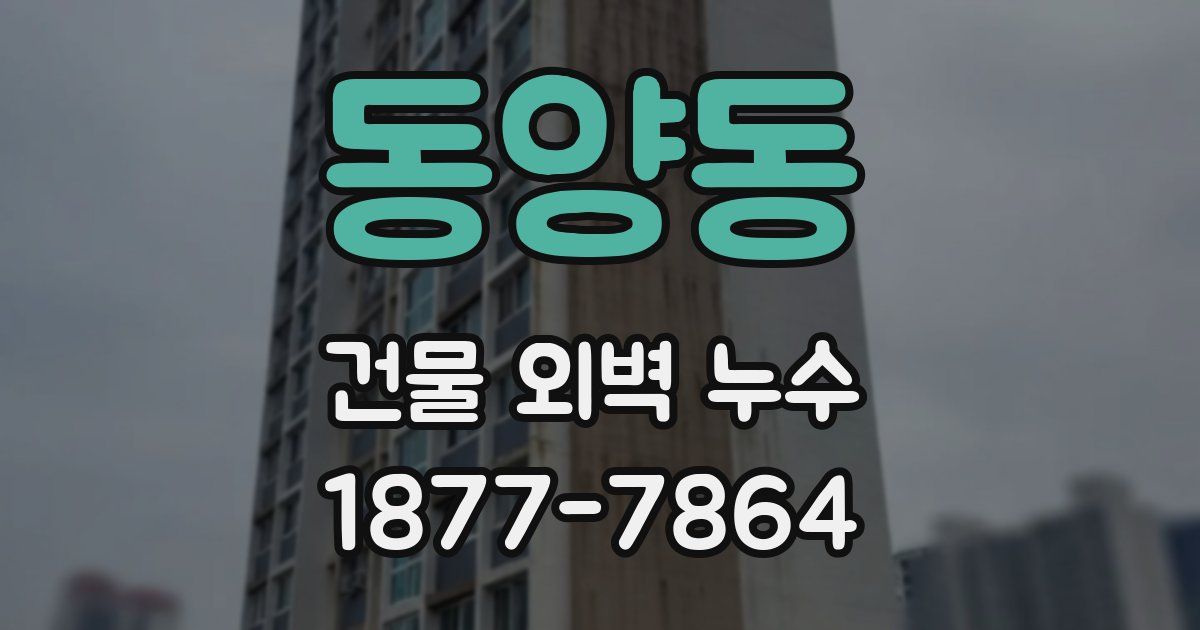 동양동 건물 외벽 누수