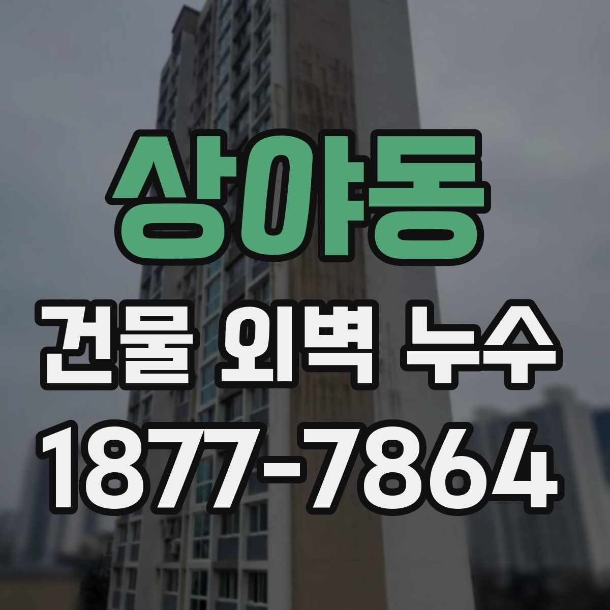 상야동 건물 외벽 누수